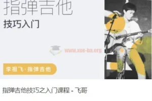 【李祖飞】李祖飞：飞哥弹指吉他俱乐部 飞哥指弹吉他技巧+编曲创作+和声进阶