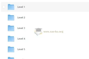 小学语文 有道分阶写作课(Level 1-6)