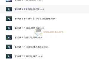 学韩语做疯狂韩语达人60课时 【5.87 GB】