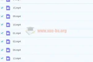 【完结】培优素养共读一本书《爱丽丝梦游仙境》