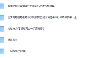 《付费书法练字课程》5合集 写一手漂亮字