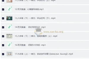 北大派派同步作文范文精读课（7-9年级）