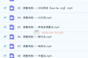 高中物理 高中电学实验：核心思路全解 一只不像老师的小怀怀