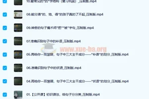 王芳 好芳法 攻克汉语语法难关