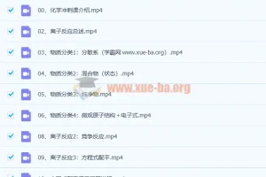 2022年树成林化学冲刺课 33讲