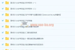 初中化学 化学八大必考实验 9讲王丽颖