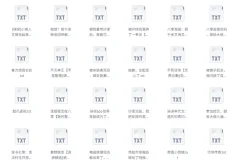 《书旗会员小说完结榜：500本精校TXT小说推荐》