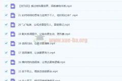 像麦肯锡顾问一样思考 21讲完结