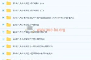 初中化学 化学八大必考实验 9讲王丽颖