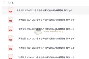 2025学年小升初考试核心考点押题卷