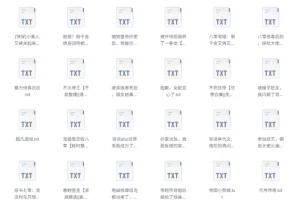 《书旗会员小说完结榜：500本精校TXT小说推荐》