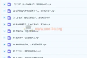 像麦肯锡顾问一样思考 21讲完结