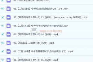 杨荷 2024初三中考语文视频课程 A+春季班（下）