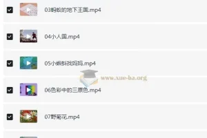 河小象 少儿美术启蒙课