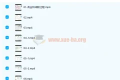 高中生物 段瑞莹2021高考生物一二轮暑寒春28讲带讲义完结