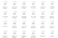 《书旗会员小说完结榜》500本精校TXT小说推荐[2G]