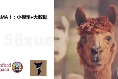 《AI大模型微调实战：8周掌握前沿技术，深度应用开发指南》