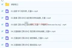 王瑾 2024高一化学 A+春季班