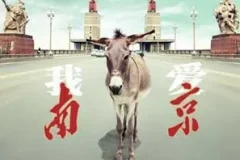 左小祖咒《我爱南京》[无损FLAC/MP3/623MB]