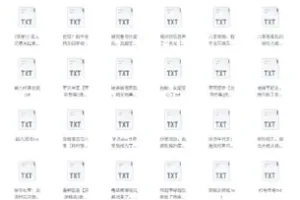 《书旗会员小说完结榜》500本精校TXT小说推荐[2G]