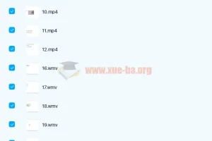 剑桥商务英语 BEC商务英语 初级+中级+高级视频教程全套