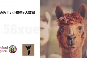 《AI大模型微调实战：8周掌握前沿技术，深度应用开发指南》