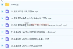王瑾 2024高一化学 A+春季班