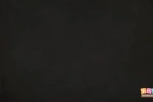 乐乐课堂：三国演义动画全集108集