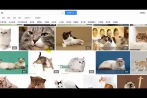 【抖音运营实战】从零到百万粉丝：账号定位与视频制作全攻略