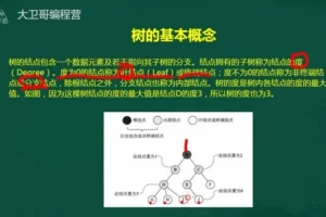 C++竞赛初阶45讲：数据结构与算法精讲