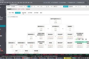 财务分析与商业决策实战：分析师思维全攻略