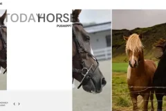 璞石PPT设计教程：从入门到精通的全面指南