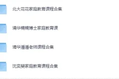 《家庭教育系列课集》（北大花花+清华楠楠+清华潘潘+沈奕斐）[MP4]
