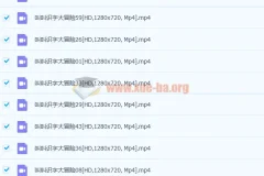 幼儿识字视频教程免费叫叫识字大冒险下载全60集高清视频