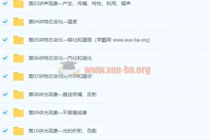 初中物理 初二物理年卡超常班（全国人教版） 【67讲杜春雨】