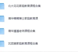 《家庭教育系列课集》（北大花花+清华楠楠+清华潘潘+沈奕斐）[MP4]