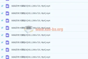 幼儿识字视频教程免费叫叫识字大冒险下载全60集高清视频