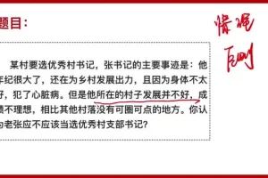 《2024年结构化面试15天速成：王老师全攻略》