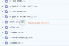 2023 高考地理 王群 a+全年 暑假班 更新19讲