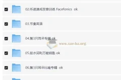 最新 功夫英语 全套 从此开始说一口流利的英语口语20.3G