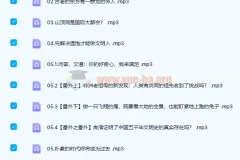 全球史从头说：人类文明的共同起点 28讲完结