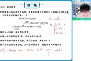 2024高一生物尖端班-邓帅主讲·遗传与进化专题突破