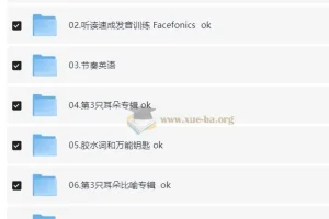 最新 功夫英语 全套 从此开始说一口流利的英语口语20.3G