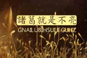 陈凯诸葛就是不亮交易之路初中高级课