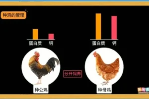 乐乐课堂生物动画大百科：6-15岁孩子的趣味学习指南