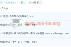 2024初二物理 何勇物理 A+ 寒假班（春上）