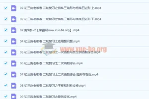 施老板施佳辰 2021春 初三中考数学 11讲带讲义