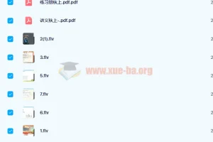 杜春雨 2021秋 初三中考物理目标S班 上 7讲带讲义