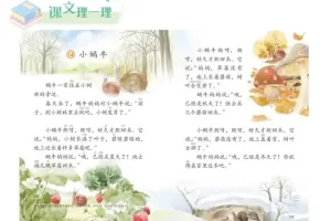《小学作文秘籍：课文里的写作技巧全解析》