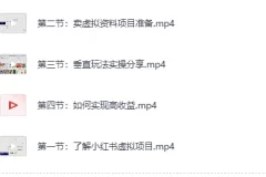 《小红书卖绝版电子书实战，日峰值收益破千拆解》[MP4]